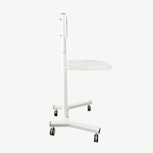 Load image into Gallery viewer, Professional Stand for Aura Coil - Qi Life Store 