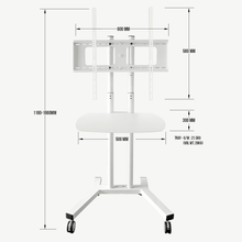 Load image into Gallery viewer, Professional Stand for Aura Coil - Qi Life Store 