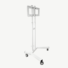 Load image into Gallery viewer, Professional Stand for Aura Coil - Qi Life Store 