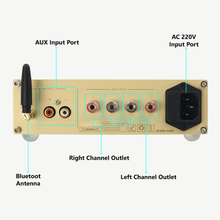 Load image into Gallery viewer, Qi Coil Max Power Kit - Qi Life Store 