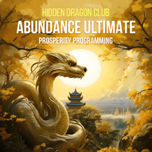 Load image into Gallery viewer, Resonant Console Ultimate (Abundance, Business, Wealth) - Qi Life Store 